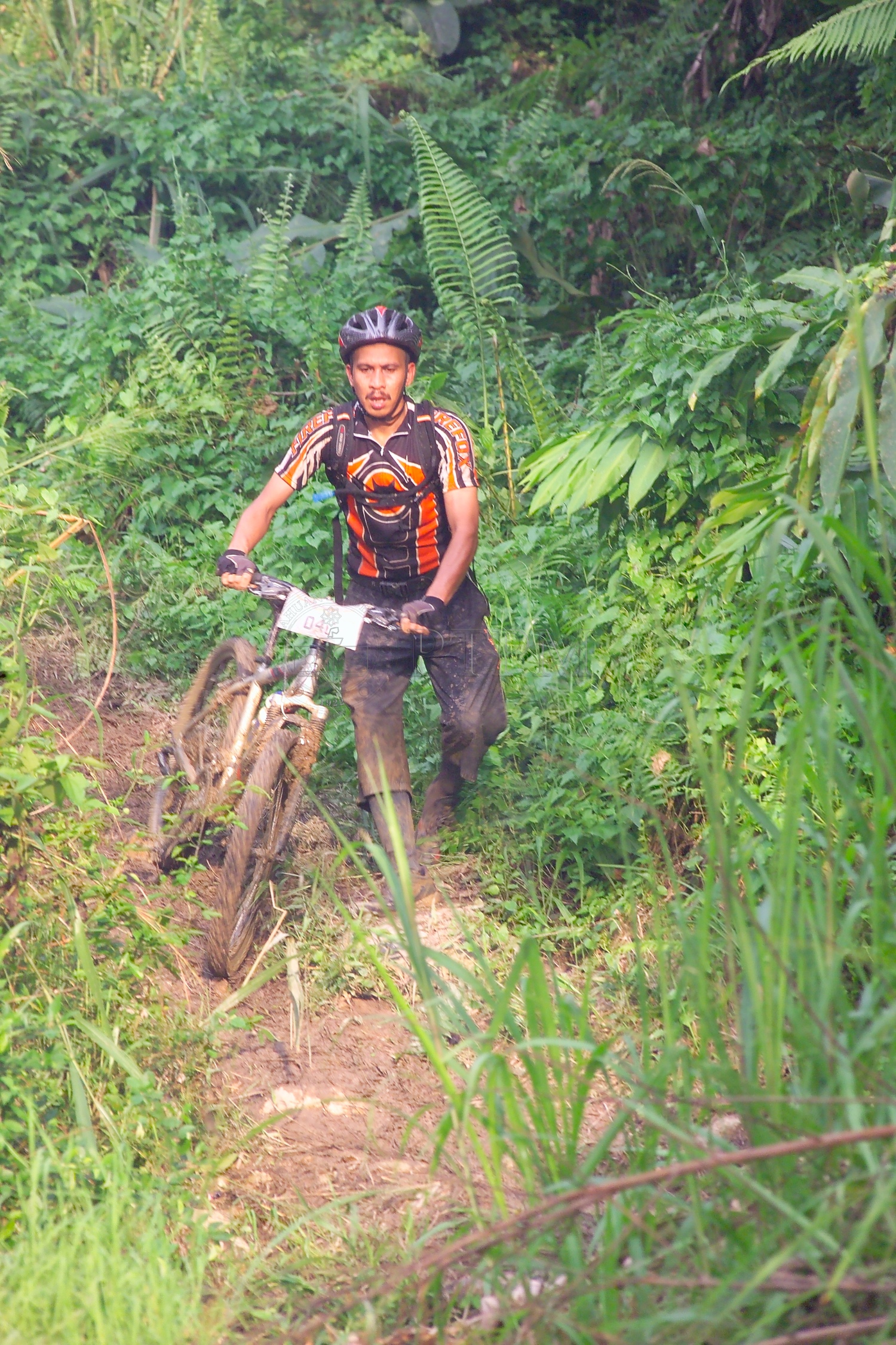 PTPM 06 31 kilau D9X44250